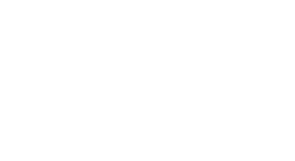 Victorinox Swiss Army Watches