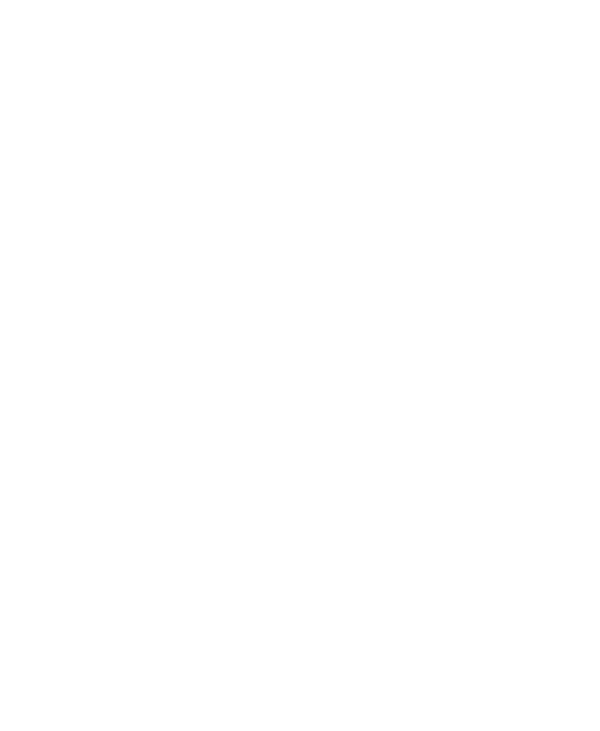 Everest Watch Bands