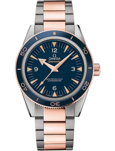 Omega Seamaster 300 Master Co-Axial 233.60.41.21.03.001