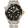Omega Seamaster Diver 300M Co-Axial Master Chronometer 210.20.42.20.01.002
