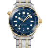 Omega Seamaster Diver 300M Co-Axial Master Chronometer 210.20.42.20.03.001