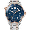 Omega Seamaster Diver 300M Co-Axial Master Chronometer 210.20.42.20.03.002
