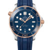 Omega Seamaster Diver 300M Co-Axial Master Chronometer 210.22.42.20.03.002