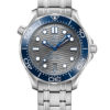 Omega Seamaster Diver 300M Co-Axial Master Chronometer 210.30.42.20.06.001