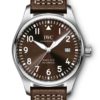 IWC Pilot's Watch Mark XVIII Edition Antoine de Saint Exupery IW327003