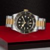 Tudor Black Bay S&G 41mm Steel and Gold M79733N-0008 Lay