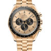 Omega Speedmaster Moonwatch Professional Co-Axial Master Chronometer Chronograph 42mm 310-60-42-50-99-002