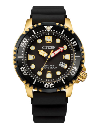 Citizen Promaster Diver BN0152-06E