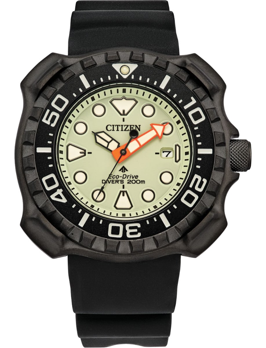 Promaster Dive