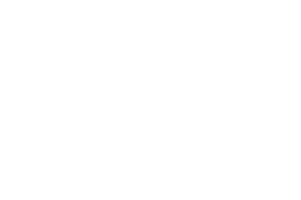 Bremont logo sale