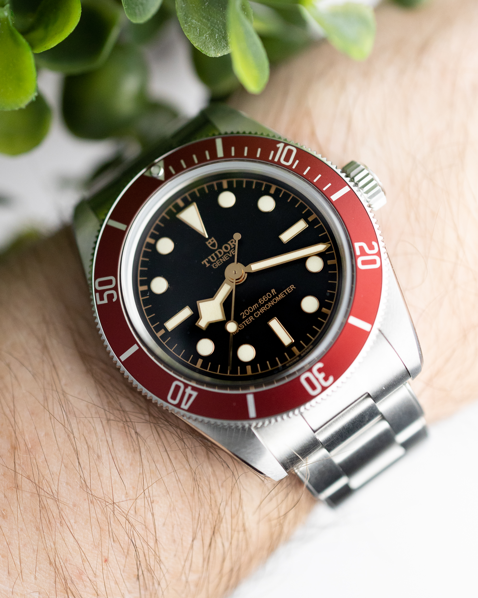 TUDOR BLACK BAY 41 