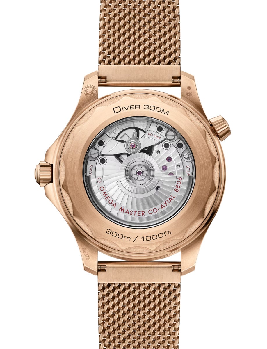 Omega Seamaster Diver 300M 210.90.42.20.01.003 Back