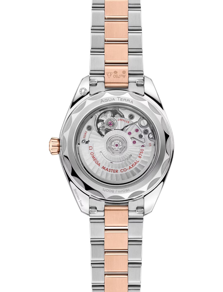 Omega Seamaster Aqua Terra 150M 220.20.30.20.63.001 Back