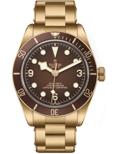 Tudor wristwatch with bronze case and bracelet, and gradient matt "brown-bronze" domed dial.