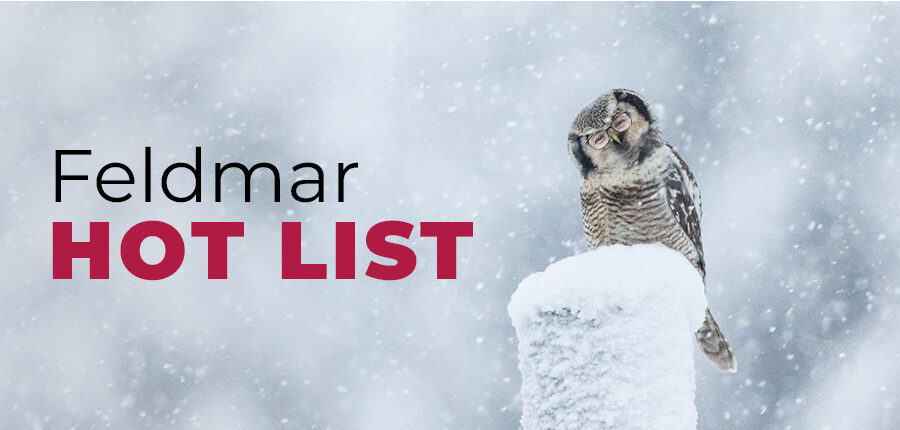 click to view article