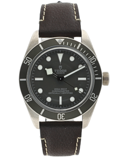 Tudor Black Bay 925 front facing view