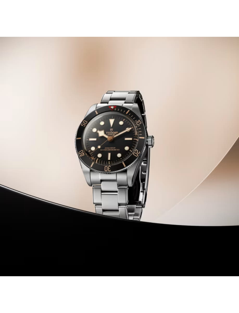 Side view of Tudor wristwatch with stainless steel case and bracelet and black dial