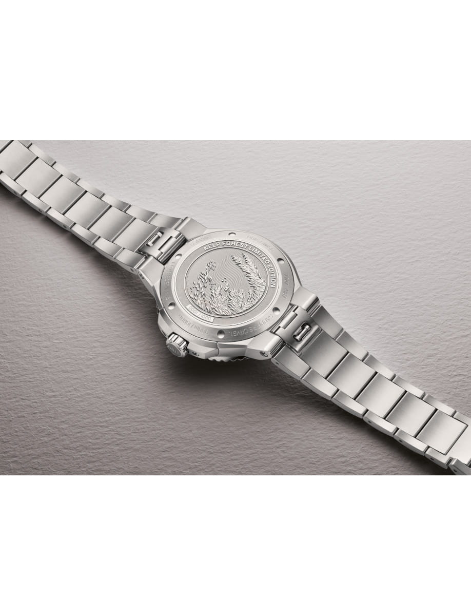 Back of an Oris stainless steel wristwatch with an engraved design and 'Kelp Forest Limited Edition' inscription on the case back.